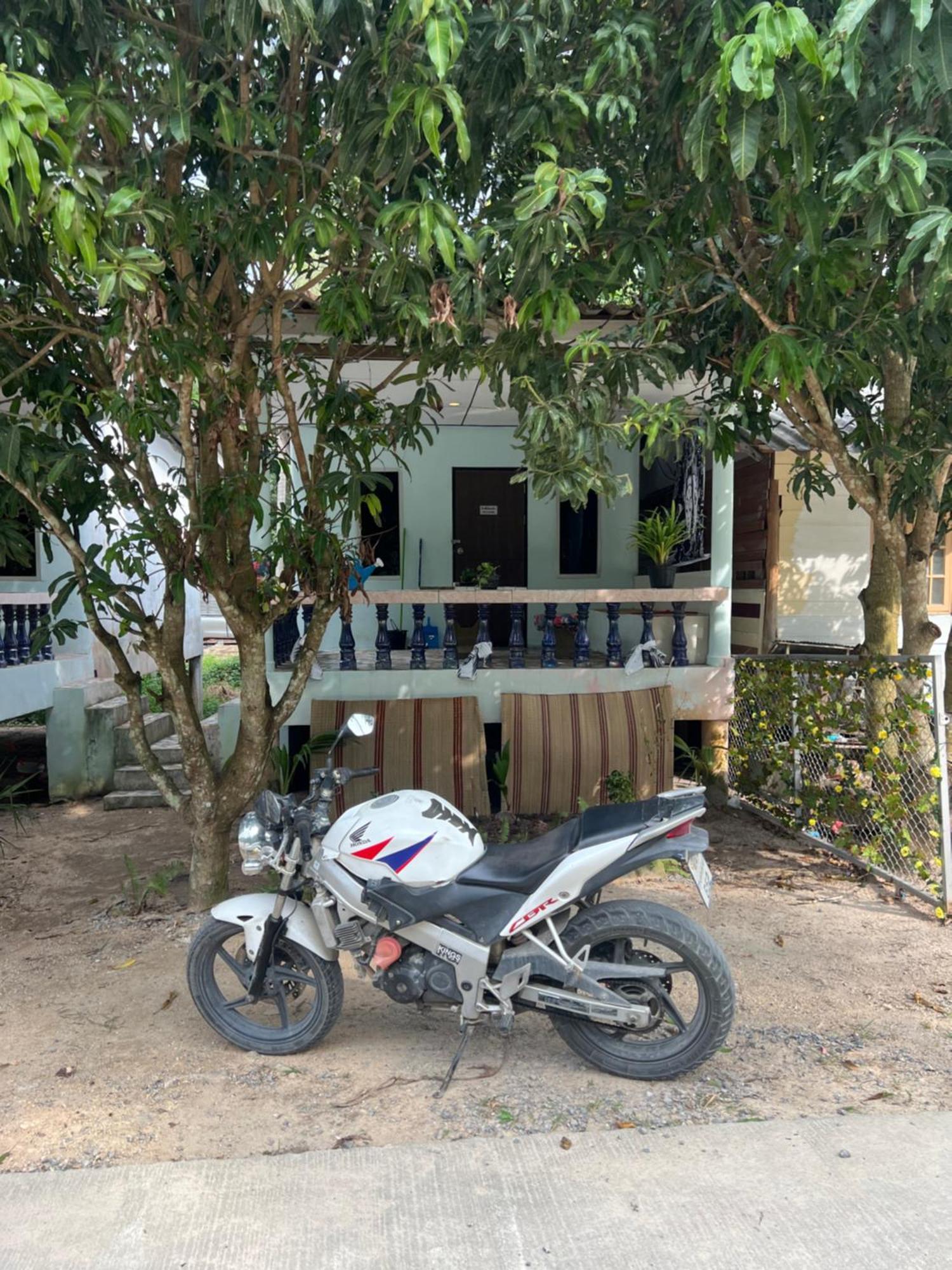 Jungle Retreat * Chaloklum