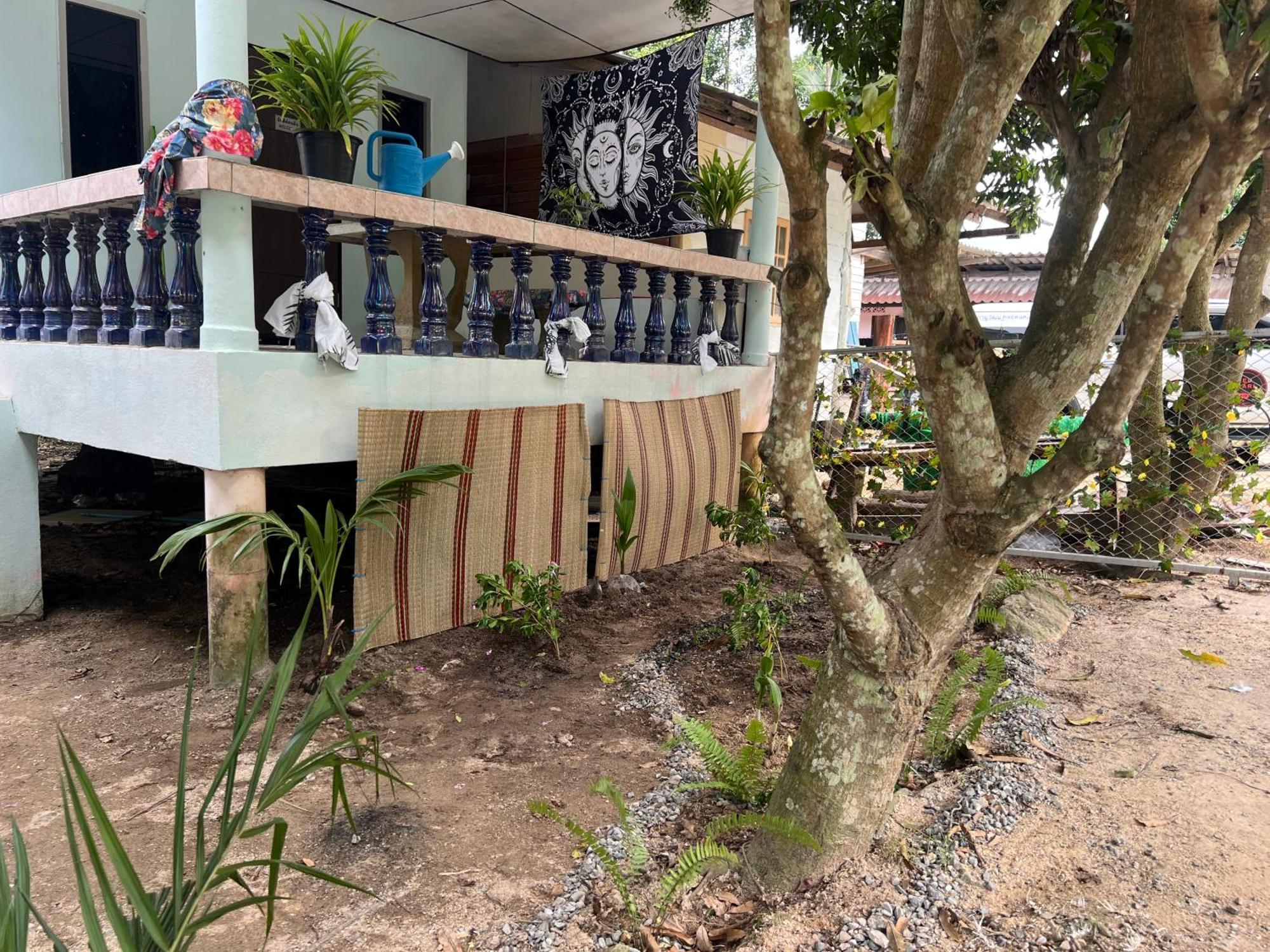 Jungle Retreat